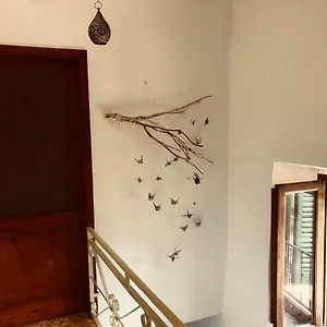 Pausa Tè Per L'anima - Casa , Cortona Italia